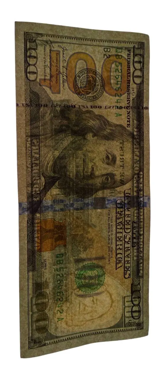 $100 Bill Detail