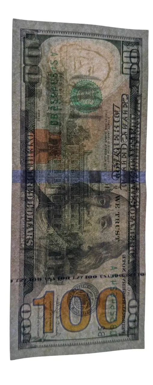 $100 Bill Detail