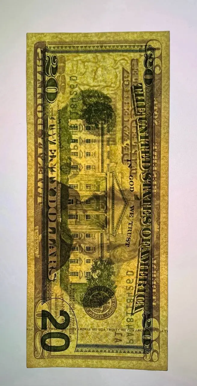 $20 Bill Detail